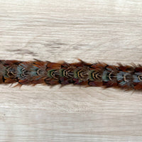 Western Feather Brazos Hat Band